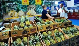 凤梨爆料视频大全最新版本,最新版本精彩内容大盘点